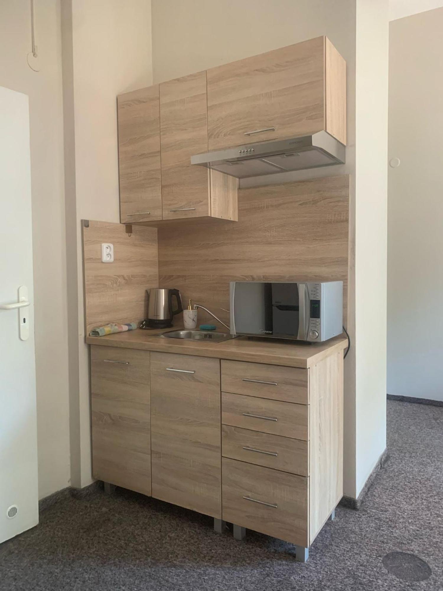 Thermal Apartments Teplice Kamer foto
